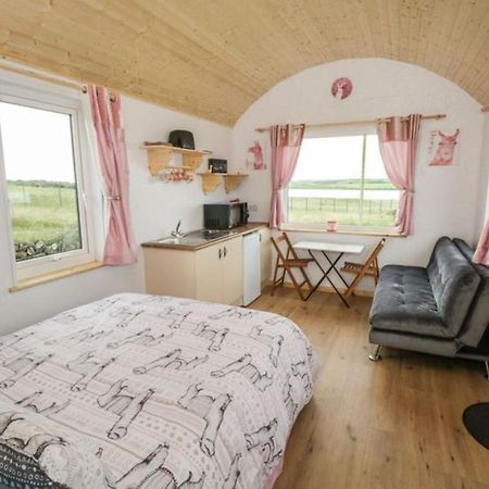 The Beautiful Lazy Llama Shepherd Hut Farm Stay 밸리셰넌 외부 사진