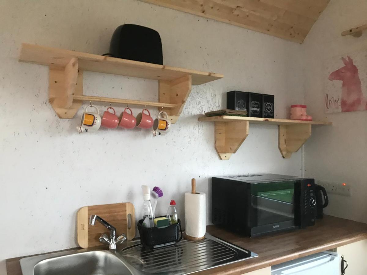 The Beautiful Lazy Llama Shepherd Hut Farm Stay 밸리셰넌 외부 사진