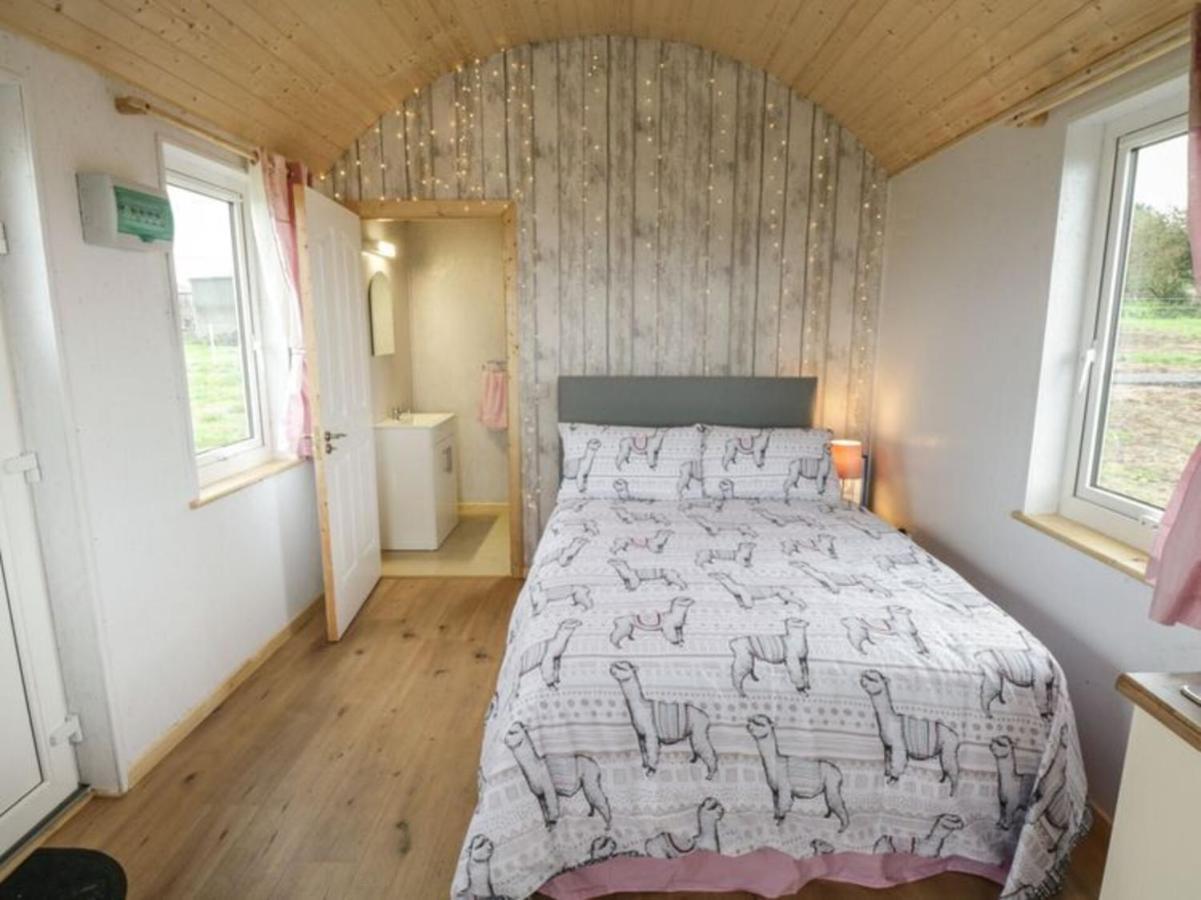 The Beautiful Lazy Llama Shepherd Hut Farm Stay 밸리셰넌 외부 사진