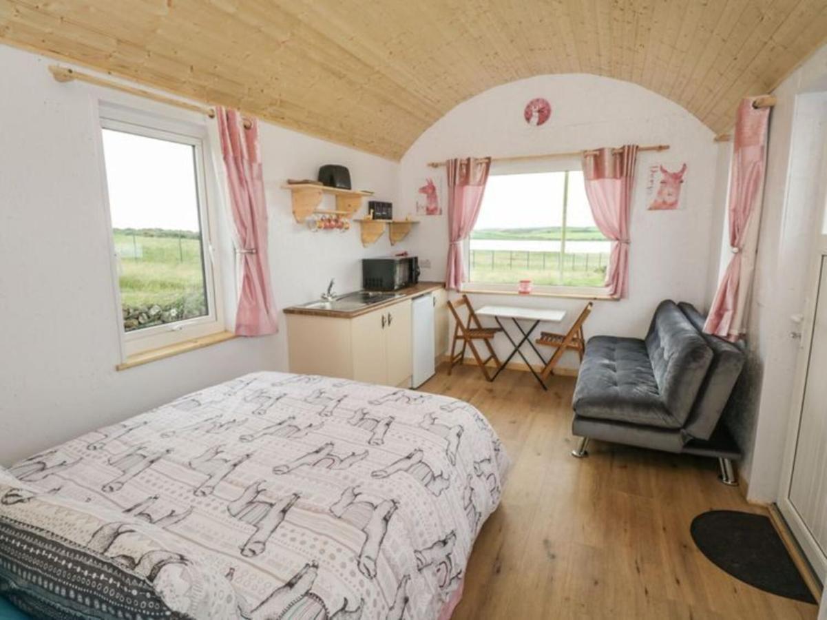 The Beautiful Lazy Llama Shepherd Hut Farm Stay 밸리셰넌 외부 사진