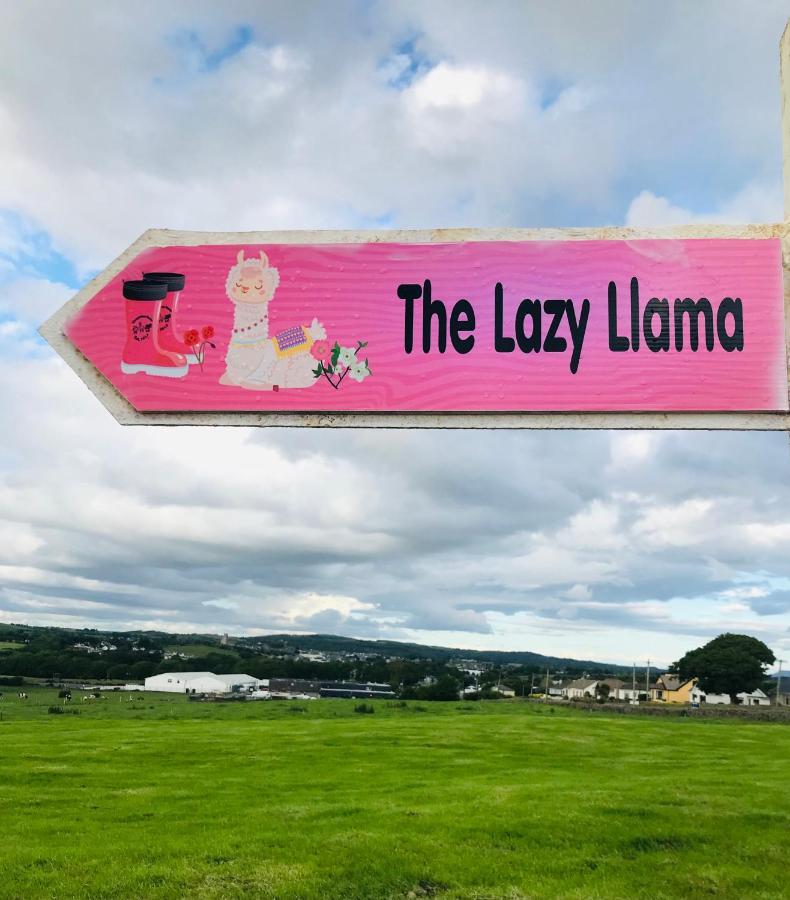 The Beautiful Lazy Llama Shepherd Hut Farm Stay 밸리셰넌 외부 사진