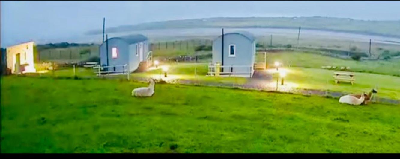 The Beautiful Lazy Llama Shepherd Hut Farm Stay 밸리셰넌 외부 사진
