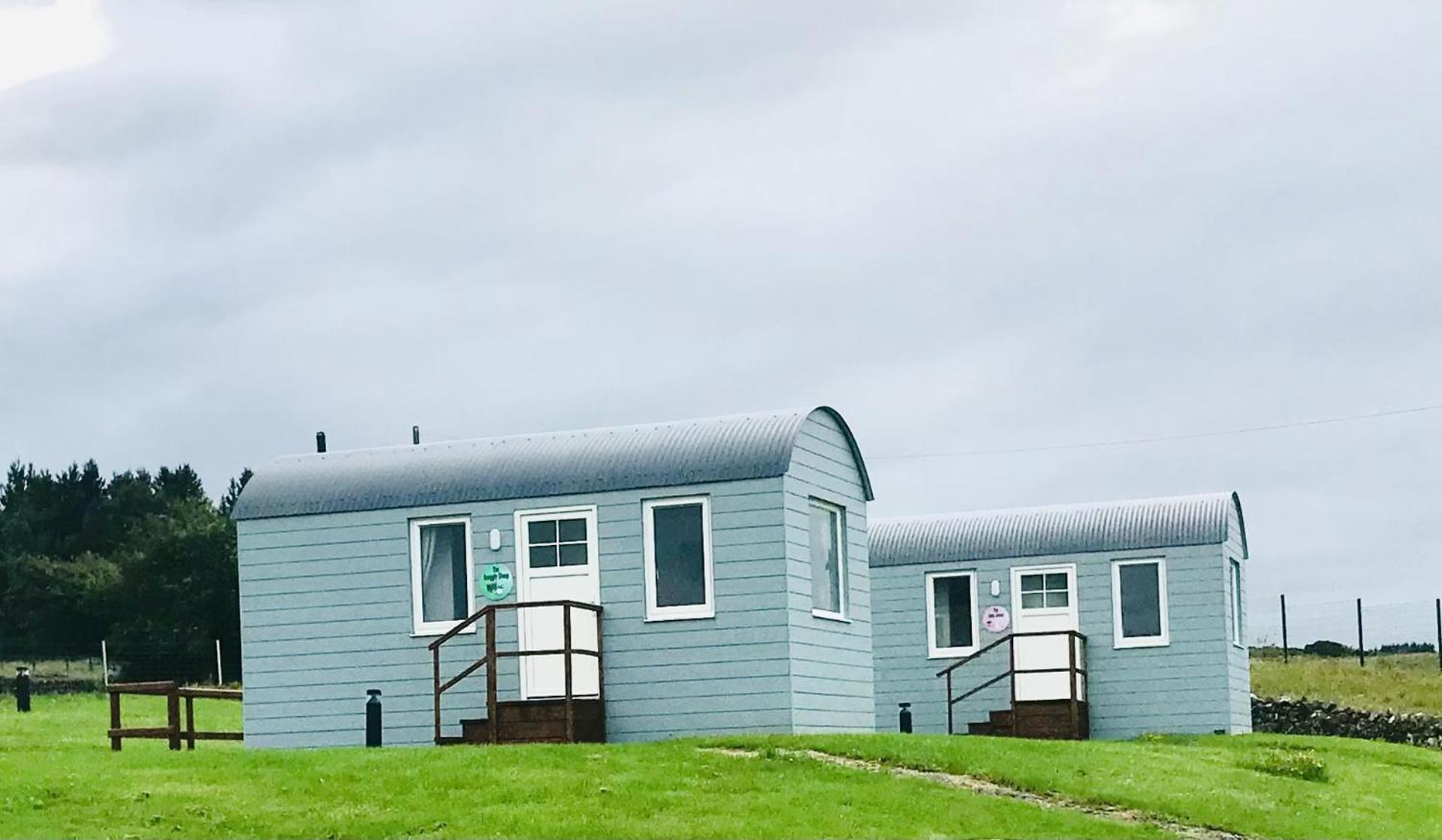 The Beautiful Lazy Llama Shepherd Hut Farm Stay 밸리셰넌 외부 사진
